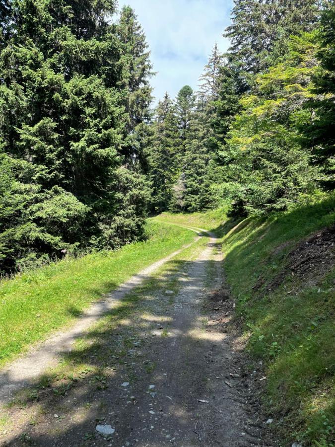 Charmant Appartement Confortable Pour 6 Personnes 40M2 Pied Pistes, Piscine, Wifi, Parking Chamrousse Kültér fotó