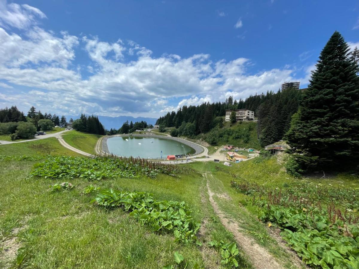 Charmant Appartement Confortable Pour 6 Personnes 40M2 Pied Pistes, Piscine, Wifi, Parking Chamrousse Kültér fotó