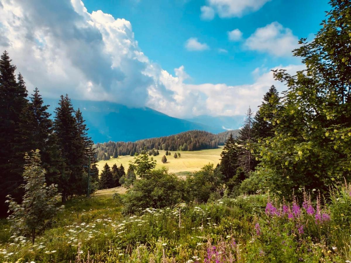 Charmant Appartement Confortable Pour 6 Personnes 40M2 Pied Pistes, Piscine, Wifi, Parking Chamrousse Kültér fotó