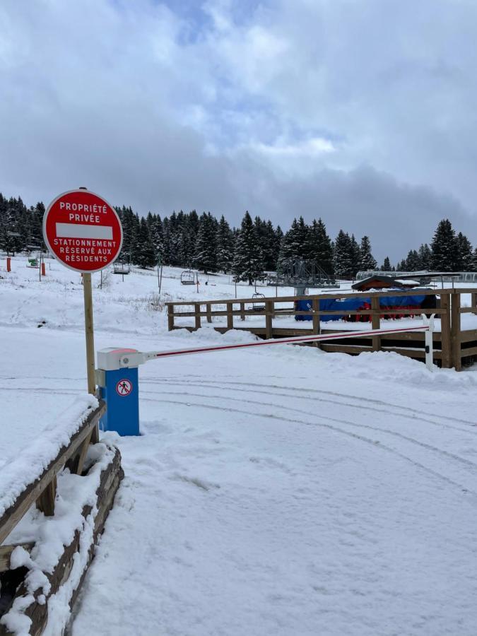 Charmant Appartement Confortable Pour 6 Personnes 40M2 Pied Pistes, Piscine, Wifi, Parking Chamrousse Kültér fotó